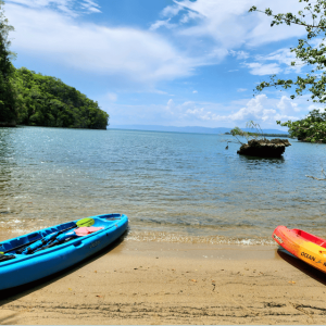 Kayak di Los Haitises e piscine di Caño Hondo - Tour privato da Miches