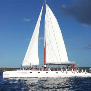 Isola di Saona: Tour in barca di un'intera giornata con bevande e pranzo a buffet
