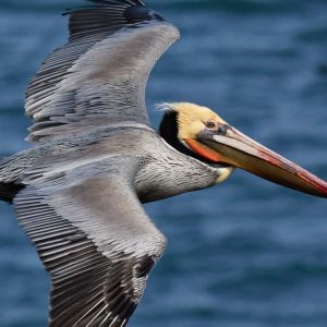 Samaná: Národní park Los Haitises a ostrov Cayo Levantado