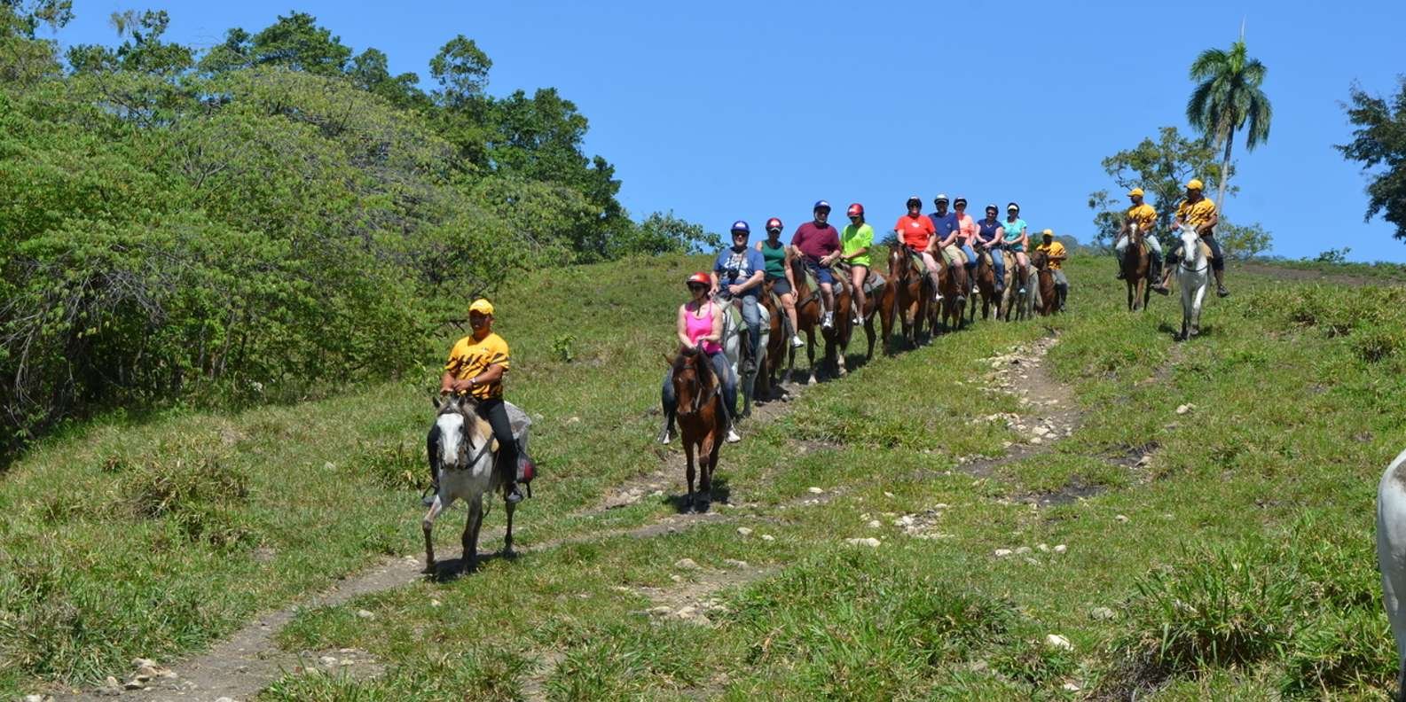 Puerto Plata: Zip Line, Horseback Riding, & Waterfall Combo - Bild 12