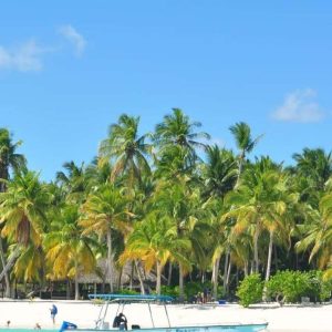 Tour di un giorno intero dell'isola di Saona in motoscafo