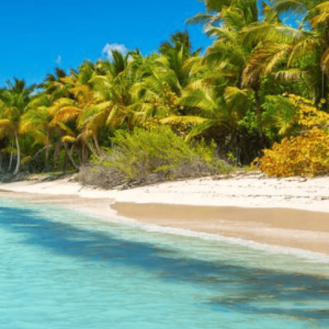 Esplorare l'isola di Saona: Tour in catamarano da Punta Cana