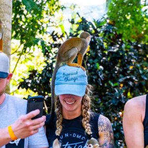 Puerto Plata: Affenland und Zip-Line-Abenteuer