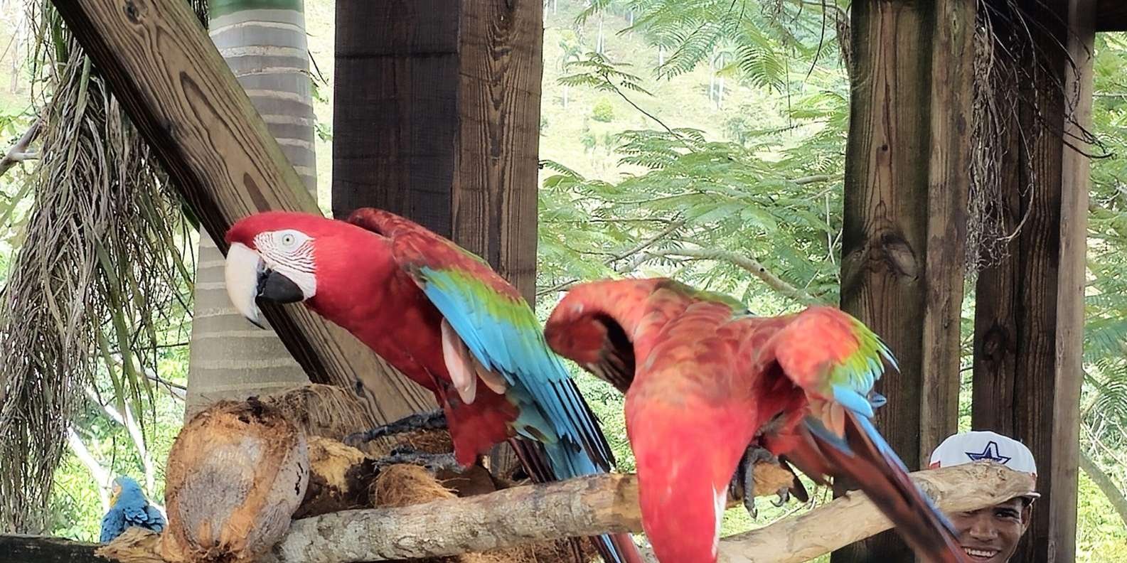 Punta Cana: La Hacienda Park - Image 3