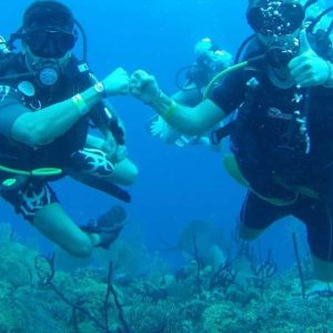 immersioni senza brevetto isola catalina da punta cana