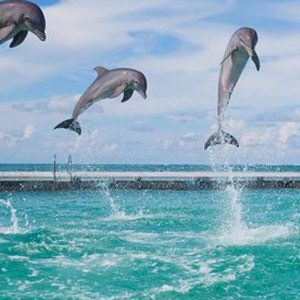 Party Boat a Punta Cana con bevande incluse