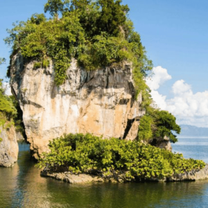 Da Samana: Tour di Los Haitises in barca e a piedi con pranzo