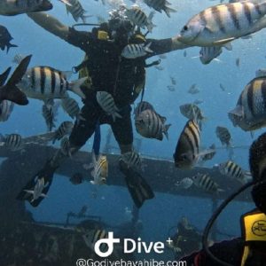 Bayahibe: Iniziazione alle immersioni - Godive Bayahibe