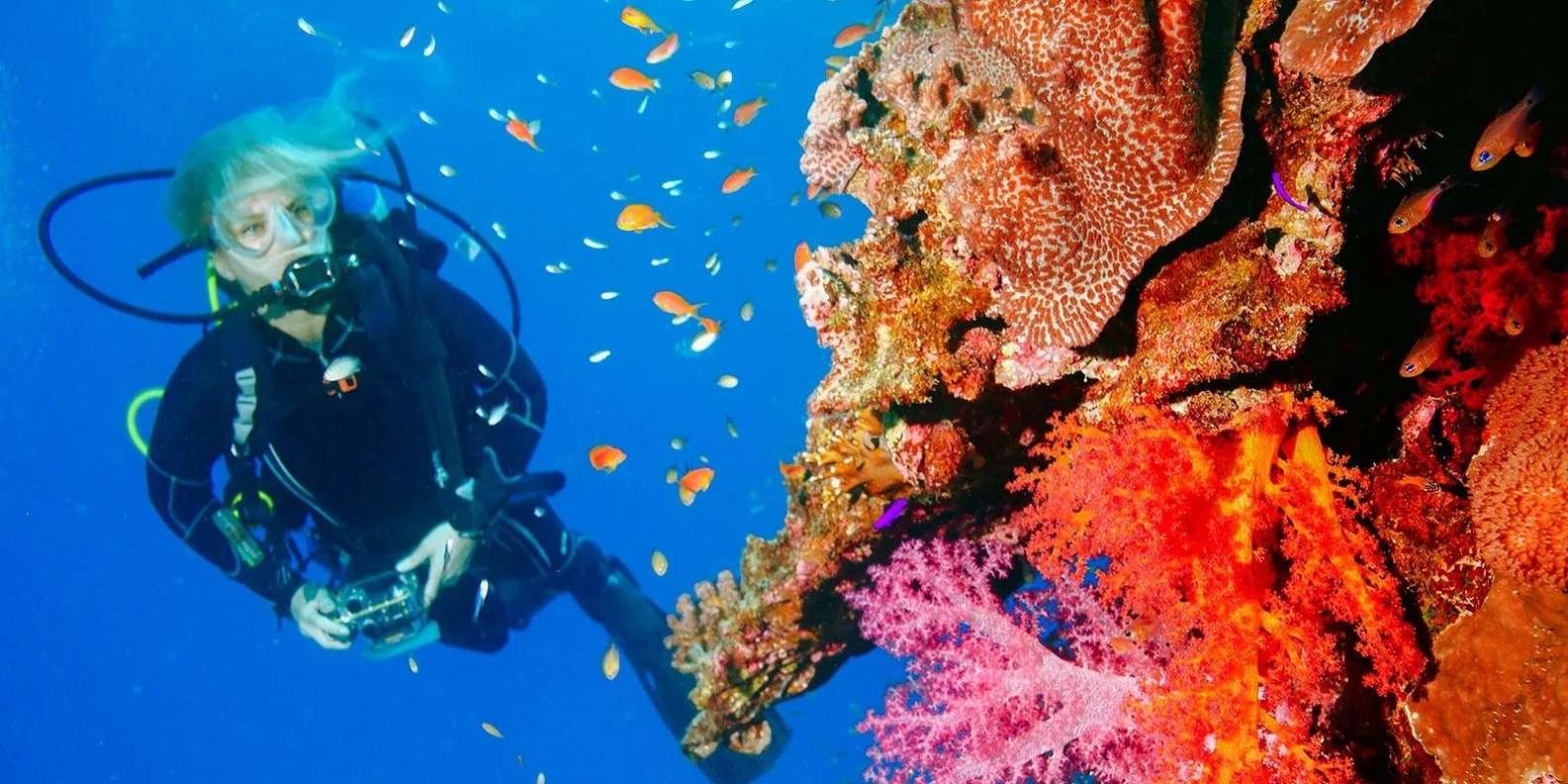 Punta Cana 40ft Sporttauchen Abenteuer