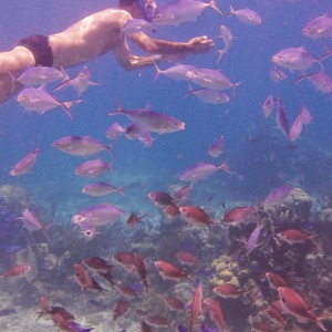 Tour di Snorkeling di un giorno intero sull'isola di Catalina