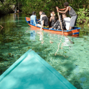 Samanà: Intera giornata Samana Amazing tour Punta Cana