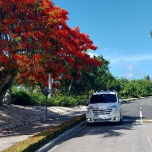 Trasferimento privato dall'aeroporto di Punta Cana al Dreams Onyx