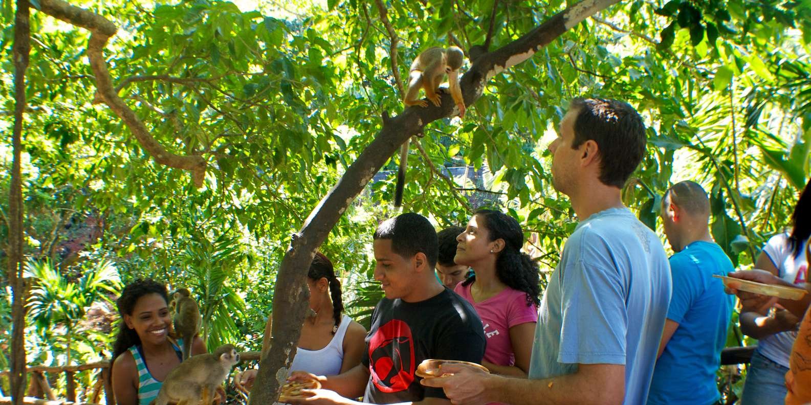 Puerto Plata: Monkeyland and Zip-Line Adventure - Image 9