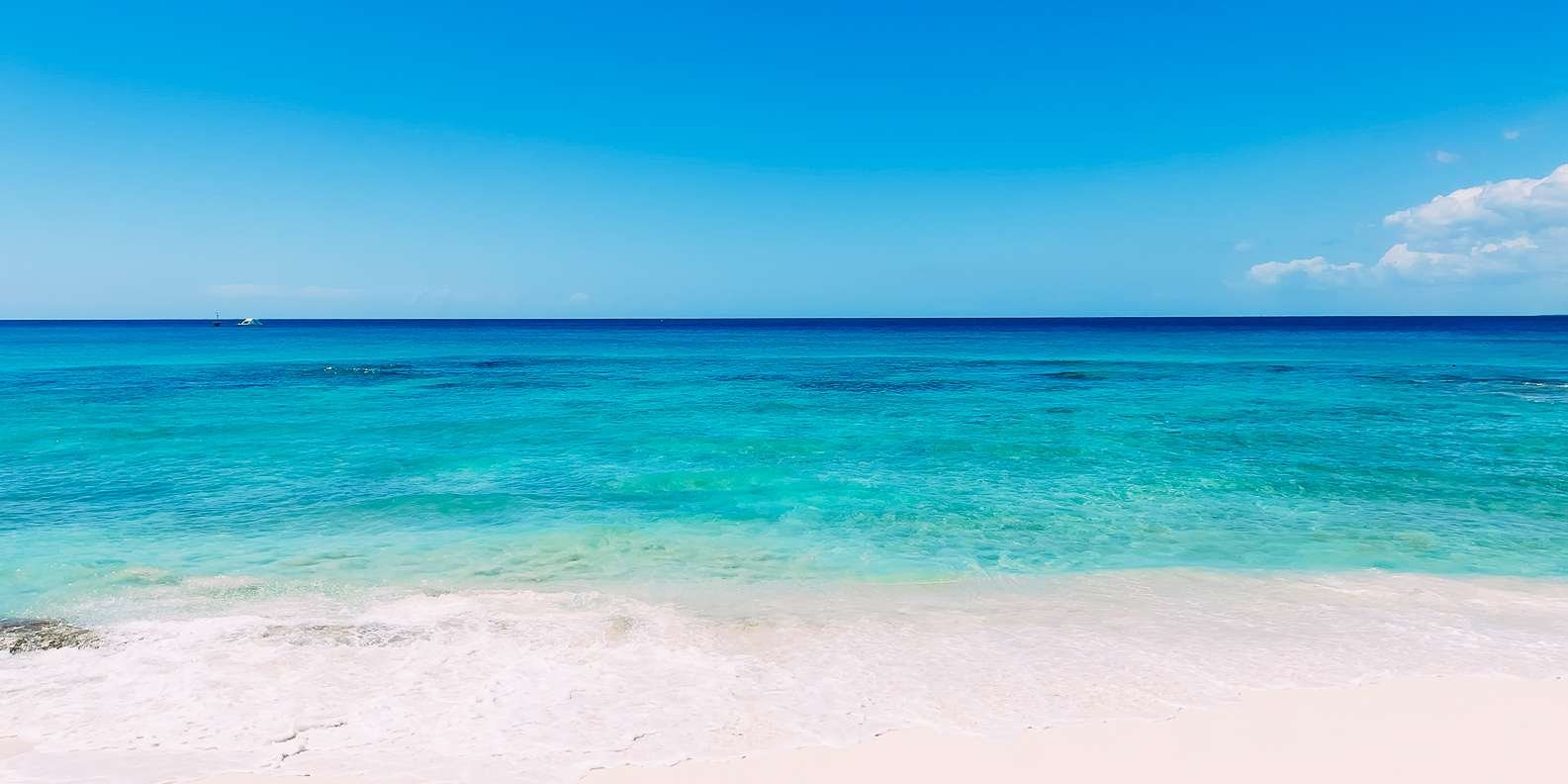 Punta Cana: Full Day Boat Trip to Catalina Island with Lunch - Immagine 9