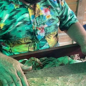 Immersione nella cultura dominicana: Viaggio di un giorno tutto compreso
