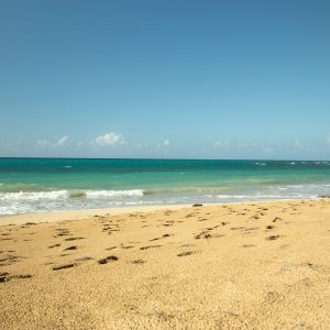 Kompletní prohlídka Samaná: Jackson Beach - Pěší turistika, sjíždění řeky a šnorchlování z La Majagua.